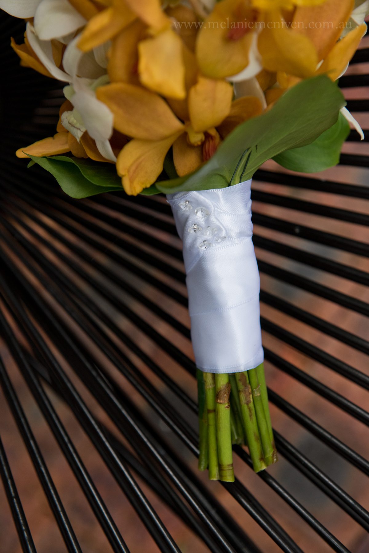 sunshine_beach_surf_club_wedding-2-of-115