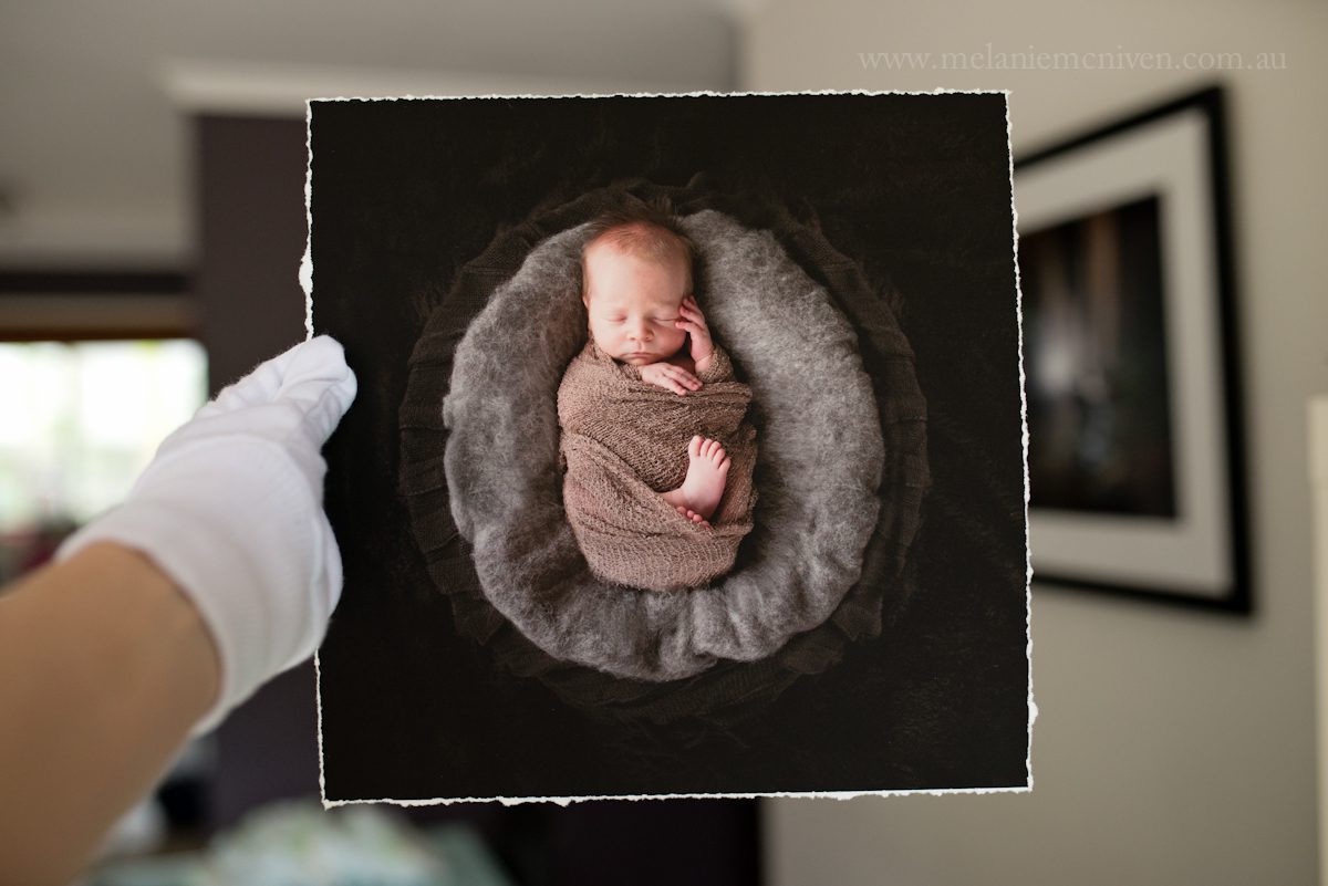 Noosa newborn photographer